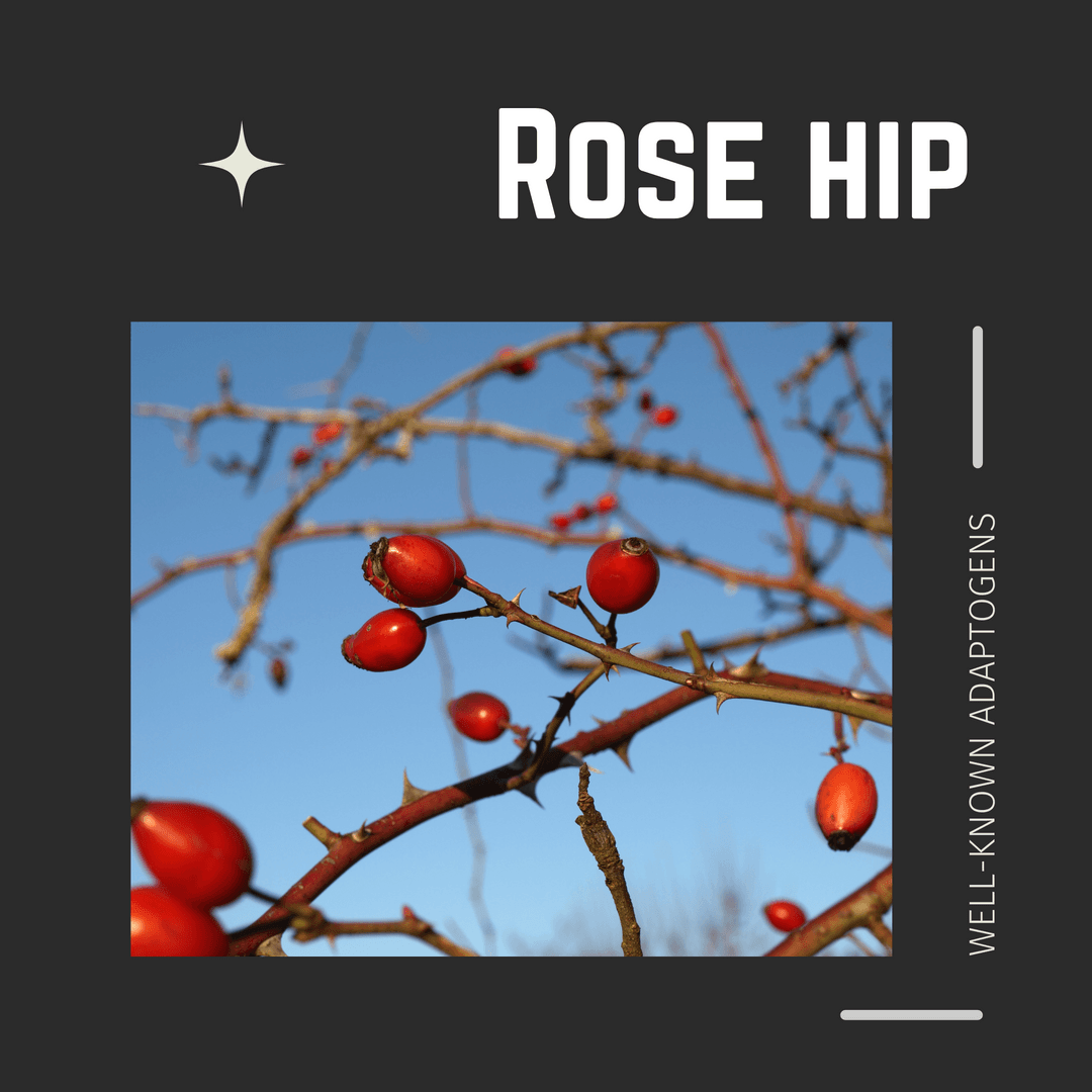 Rose hip