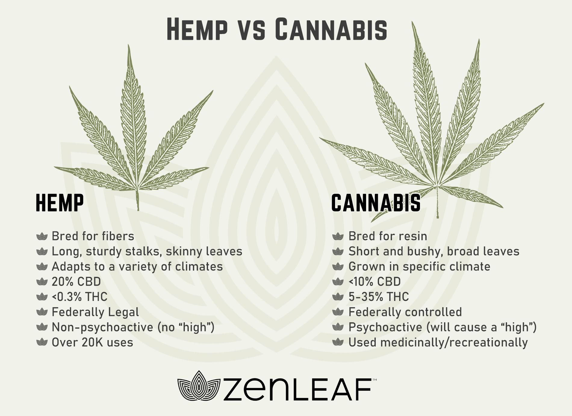 Hemp vs Cannabis