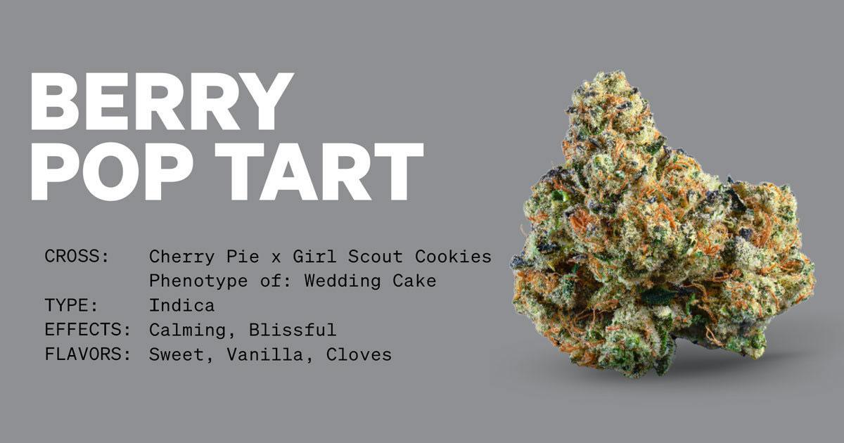 Berry Pop Tart Strain Information